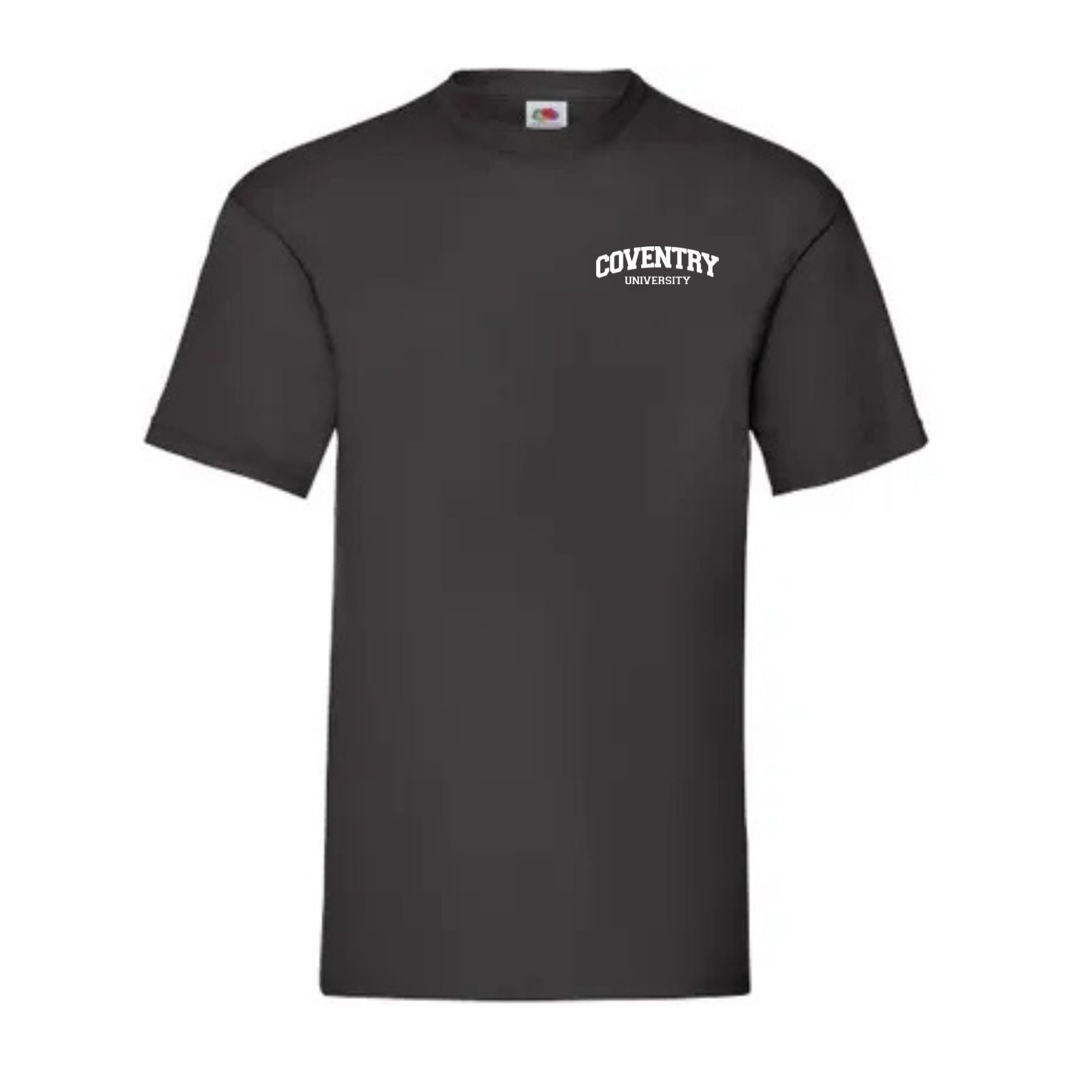 Classic T-Shirt [Small Logo]