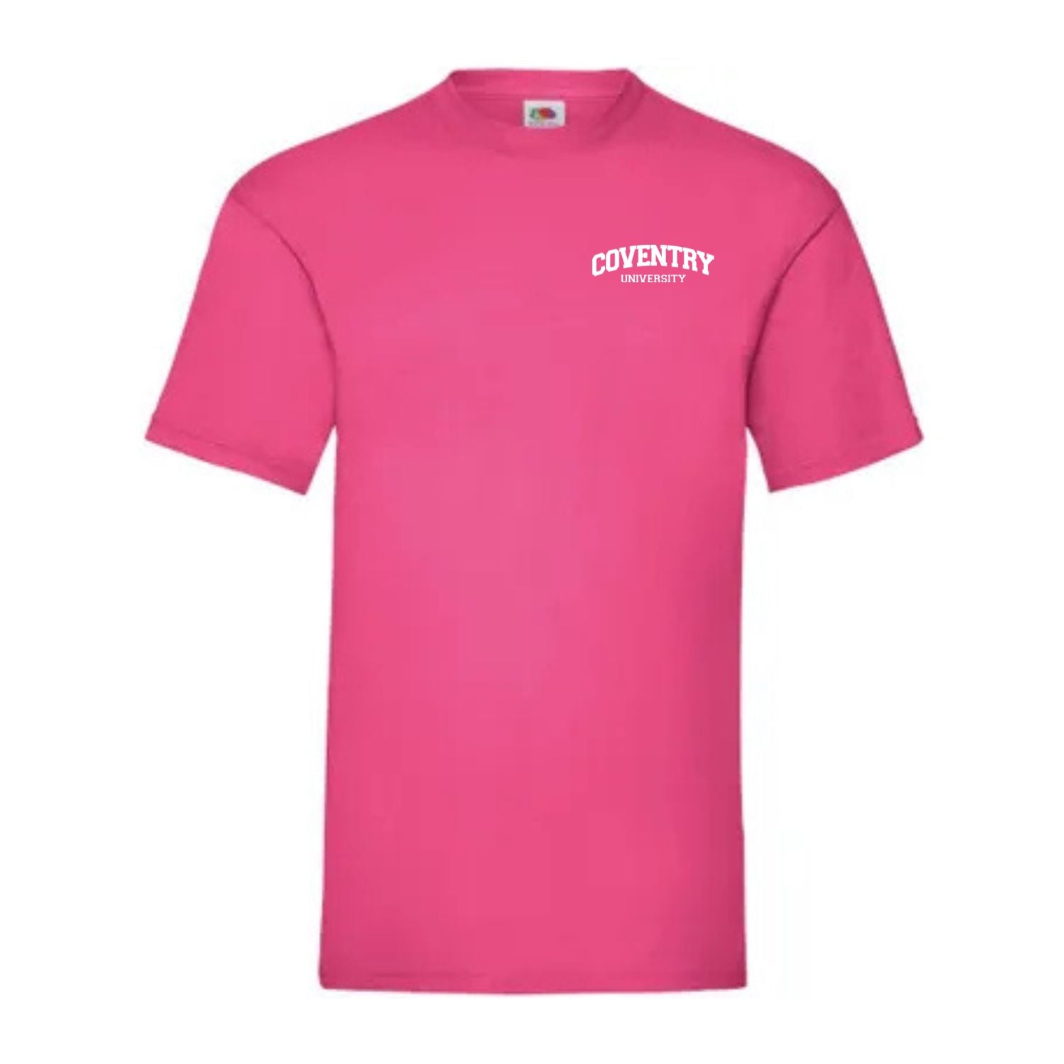 Classic T-Shirt [Small Logo]