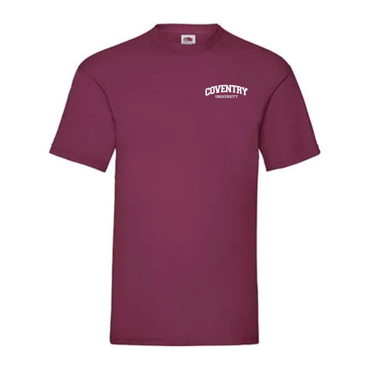 Classic T-Shirt [Small Logo]